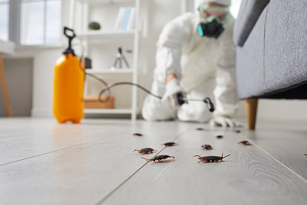 Commercial Kitchen Cockroach Control in Delavan